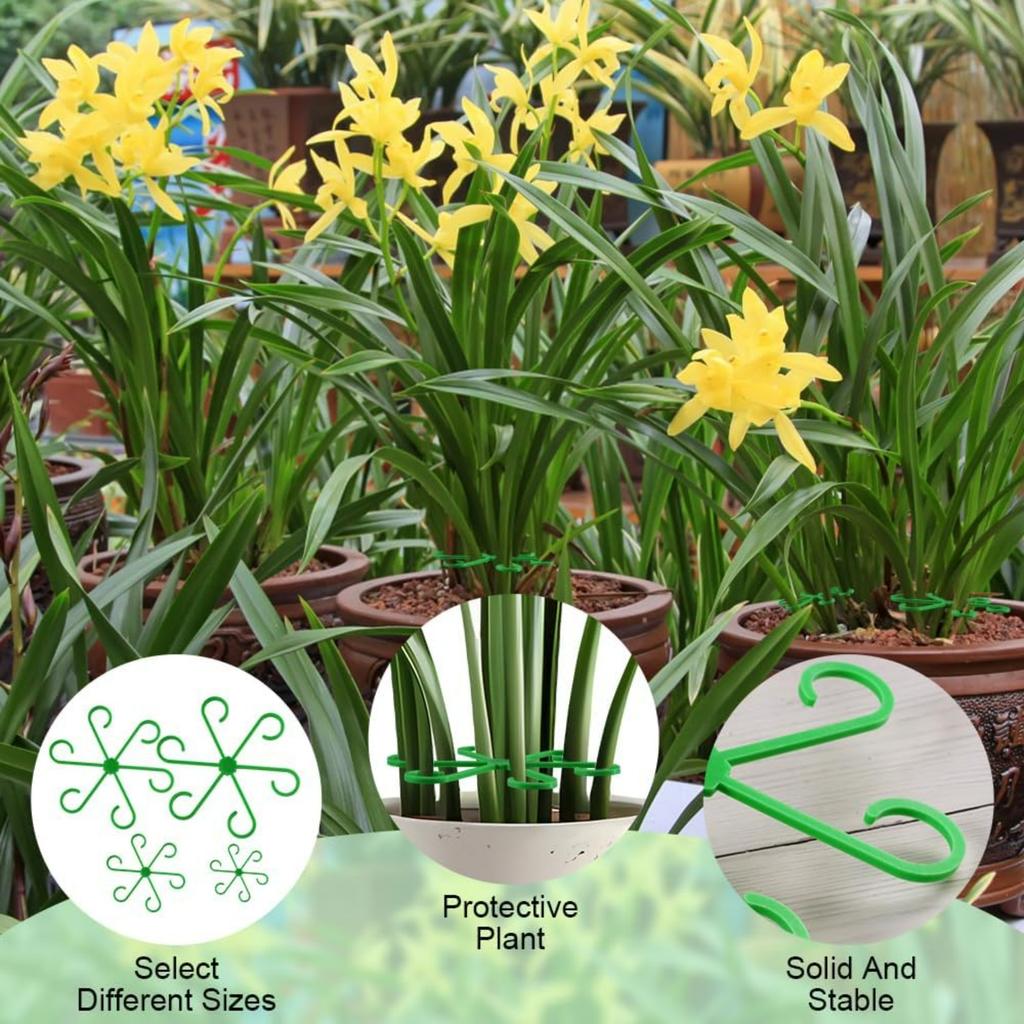 Plant Stem Support for Indoor Outdoor,16pcs Plastic Monstera Plant Support,4 Sizes Reusable Plant Stabilizer for Climbing Plants, Ivy, Roses, Pothos