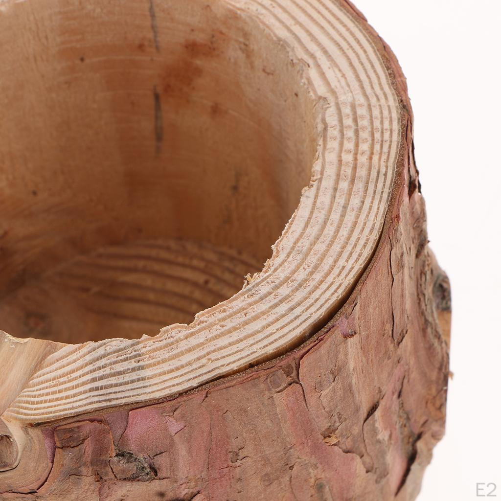 Pflanzen Blumentopf Baumstümpfe Bonsai-Gefäß