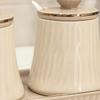 3 Pieces Ceramic Seasoning Jar with Lid Countertop Condiment Organizer Tray