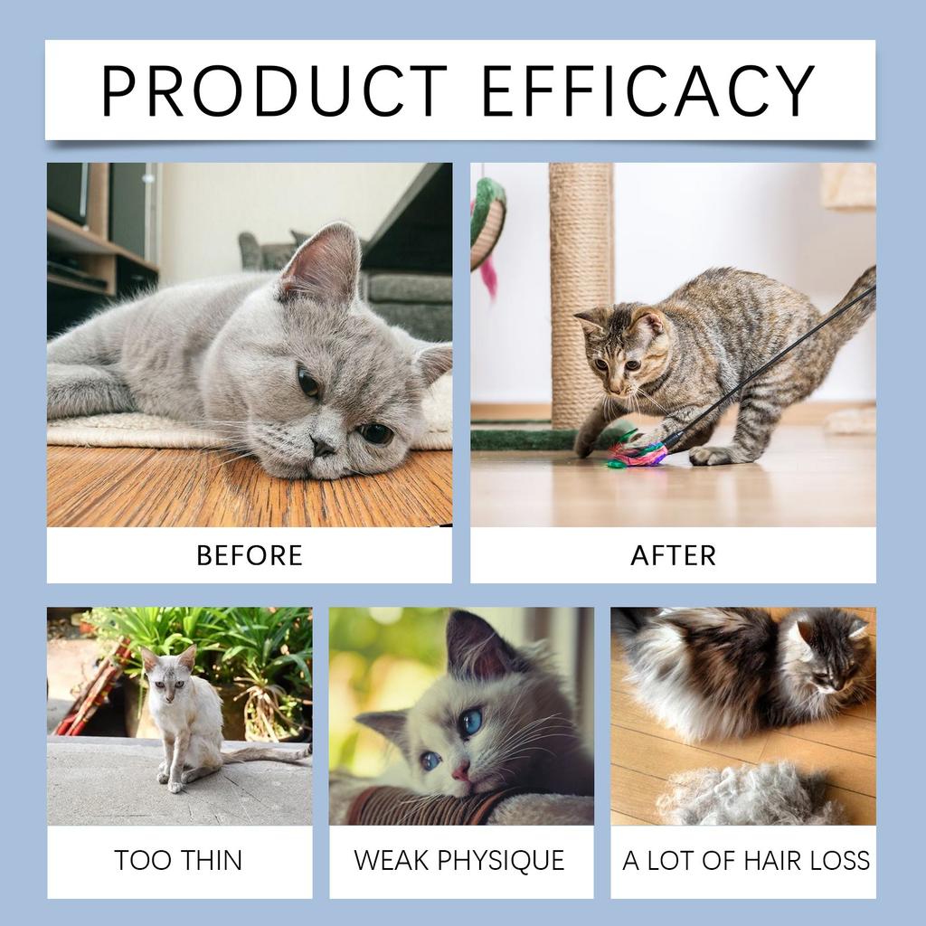 Pet Supplements, Cat Nutrition Liquid To Enhance Immunity And Vitality, Pet Nutrition Supplement Drops,50ml