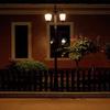 LED Landscape Garden Light