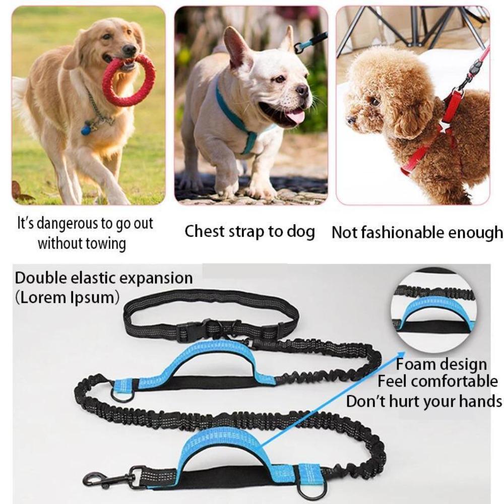 Hands Free Dog Traction Rope Dual Handle Pet Leads Multifunction Dog Leash Puppy