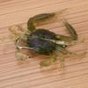 2 pcs Silicone Soft Fishing Lures Artificial Bait Crab with Sharp Hooks Fish Tackle Accessories1#