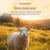 Men's 100% Merino Wool Heavyweight V-Neck Sweater