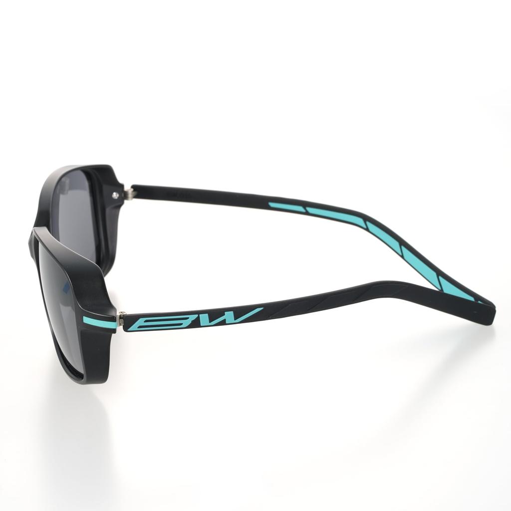 Polarized Sunglasses Matte X Emerald SMOKE [Bunnywalk] BW-030 BW-0304F Black/Black