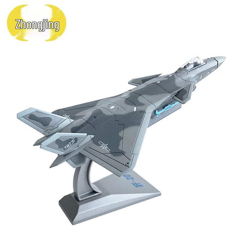 J-20 Fighter Jet Alloy Model, 1:100 Scale