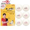 Double Fish Professional Table Tennis Balls