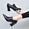 Pointed Thick Heel Single Shoes Women's Spring 2025 New Deep Mouth High Heel Comfortable Simple Versatile Foreign Style Small Leather Shoes Single