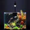 USB Adjustable Focus Aquarium Spot Light Aquascape Clip Lamp for Nano Fish Tank 360° Rotatable Clip Light for Betta/Small Aquariums Accessories