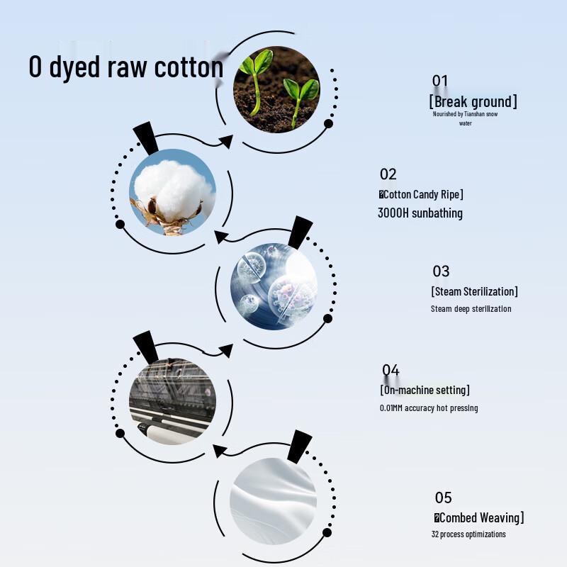 SecretWorld Women's 7A Antibacterial Cotton Underwear Multipack