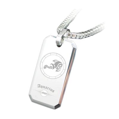 Necklace SPTSC12 Zodiac Tungsten Alloy Mirror Rounded Leather Marking [Spirit316] Men's Pendant, Top, Finish, Corners, (Aquarius)