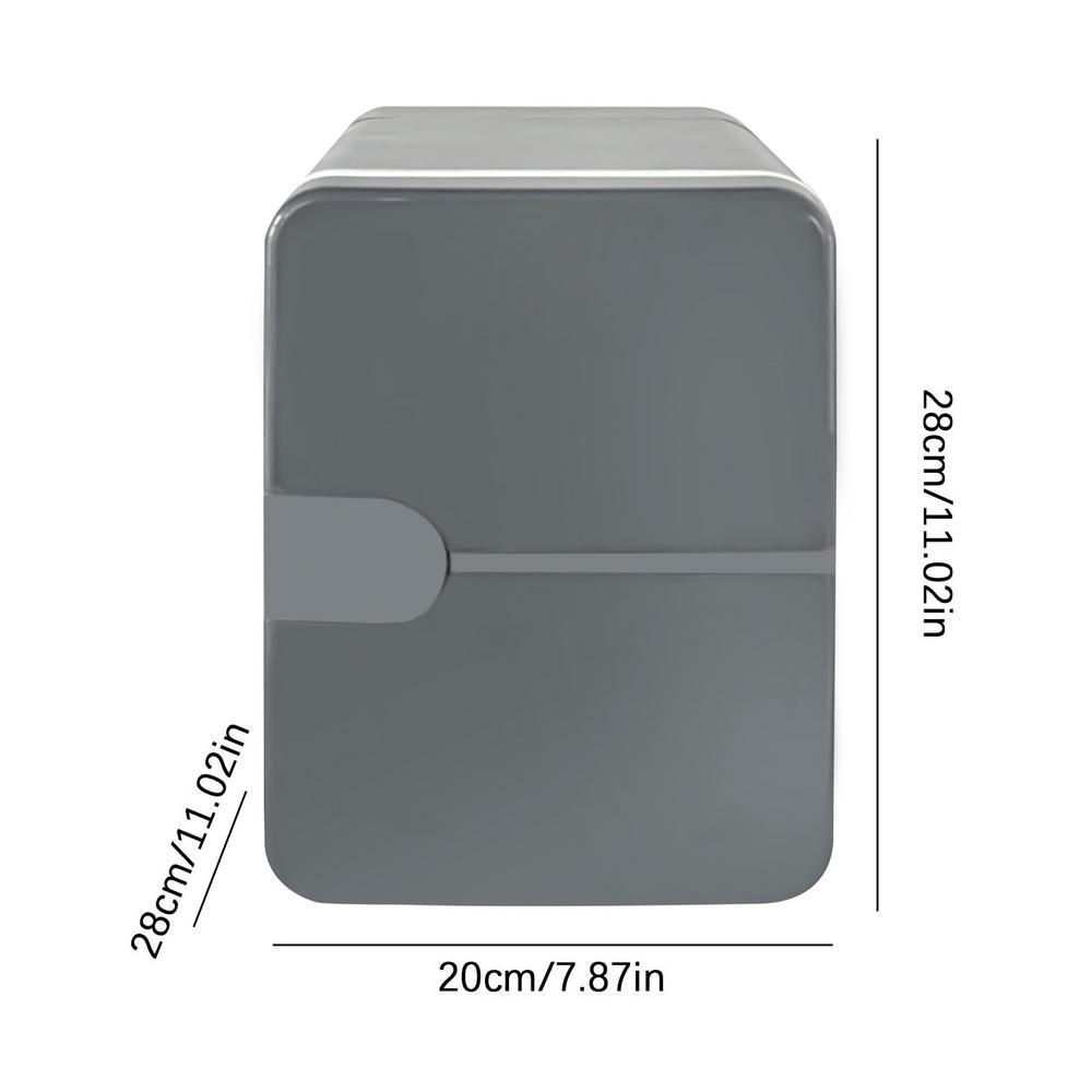 6L Car Mini Fridge Beauty Cosmetics Mask Makeup Skincare Refrigerator DC 12V / AC 220V Heated Cooling Dormitory Refrigerator