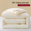 Xinjiang Cotton All-Season Quilt: Warm, Thick, and Suitable for Student Dormitory Use