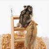 Wood Climbing Ladder with Metal Hooks Wooden Bridge Easy Connection To Wire Cage
