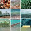 1.25inch Mesh Anti Bird Netting Nylon Material Orchard Net  Orchard Protection