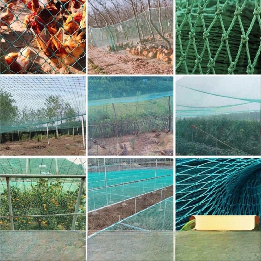 1.25inch Mesh Anti Bird Netting Nylon Material Orchard Net  Orchard Protection