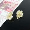 Korean Style Retro Pearl Ear Clip for Women - Mosquito Coil Holder, No Piercing, High-End, Fashionable and Versatile Luxury Earrings