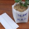 100Pcs Fabric Pots Large Plant Pot Garden Supplies Fabric Planter Grow Bags Small Plant Nonwoven Seedling Bag