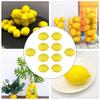 Artificial Lemon Decor Fake Lemon Props Foam Fruit Model