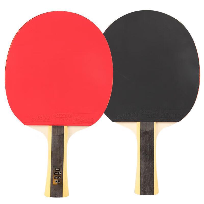 DHS H1002 1-Star Training Shakehand Table Tennis Racket