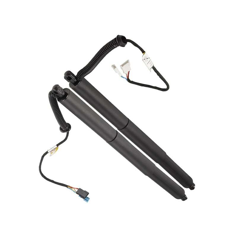 

51247434041 Пара, задняя левая и правая задняя дверь с электроприводом, газовая стойка для BMW X5 F15 2014-18