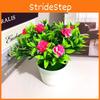 Rose Mini Plastic Artificial Flower Green Plant Potted Plant For Decor Indoor