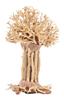 PROGROW BONSAI TREE BT7S 15X12X20CM