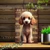 Tin Sign Wall Art Funny Poodle Vintage Pet Decor 2D Flat Metal Poster for Home
