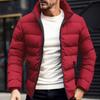 Men Down Coat Stand Collar Long Sleeve Full Zipper Closure Solid Color Jacket Coat with Side Zipper Pockets Outdoor Leisure Quilted Outwear