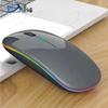 Biaoqi Silent Luminous Dual-Mode Rechargeable Mouse