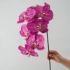 High Quality Luxury Flowers Latex 8 Heads Butterfly Orchids Artificial Real Touch Phalaenopsis Orchid Wedding Decor