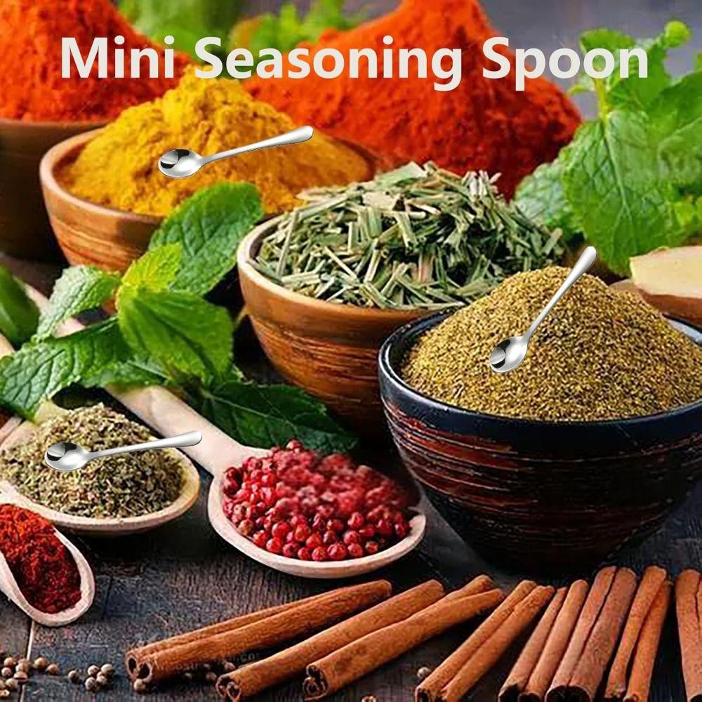 5PCS Durable Tiny Spoons Compact Seasoning Spoon Pretty Condiment Spoons Condiment Serving