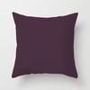 Modern Simple Solid Color Double-Sided Printed Pillow Cover Pillow Core Home Sofa Cushion Pillow Cover Premium