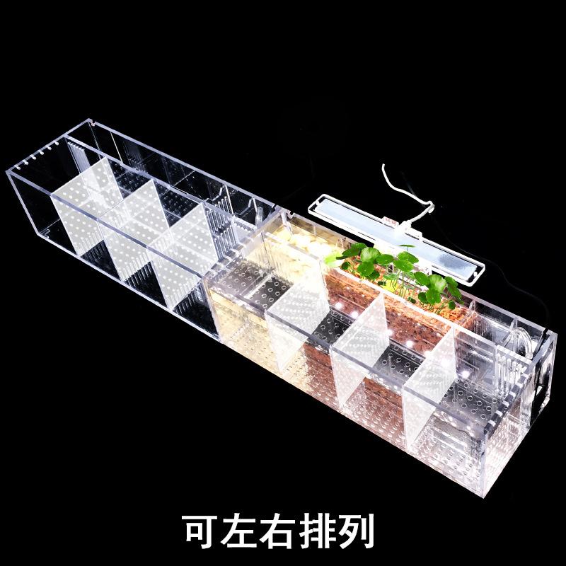 Douyu Tank Acrylic Isolation Small Fish Tank No Need To Change Water  Water Pump Filtration Fish Tank