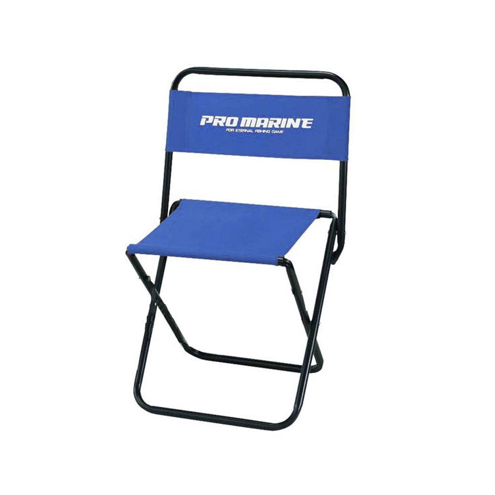 PRO MARINE Pipe Chair, Large, Random Color, LEE350-L, Black, Blue, Red