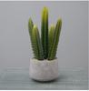 Simulated Cactus Fleshy Potted Office Decoration Fake Cactus Cement Retro Small Bonsai