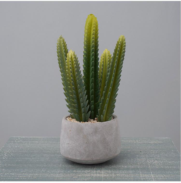 Simulated Cactus Fleshy Potted Office Decoration Fake Cactus Cement Retro Small Bonsai
