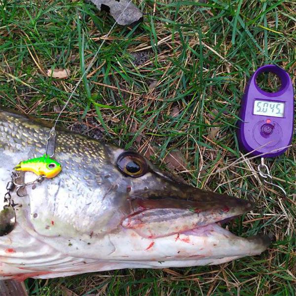 Boxed Metal VIB Spinner Lure for Sea & Freshwater Fishing.