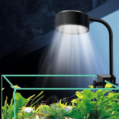 Pești și animale marine – Iluminare acvariu