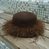 French Retro Hepburn Brown Coffee Woolen Top Hat Felt Hat Japanese Autumn And Winter Women'S Feather Warm Small Basin Hat