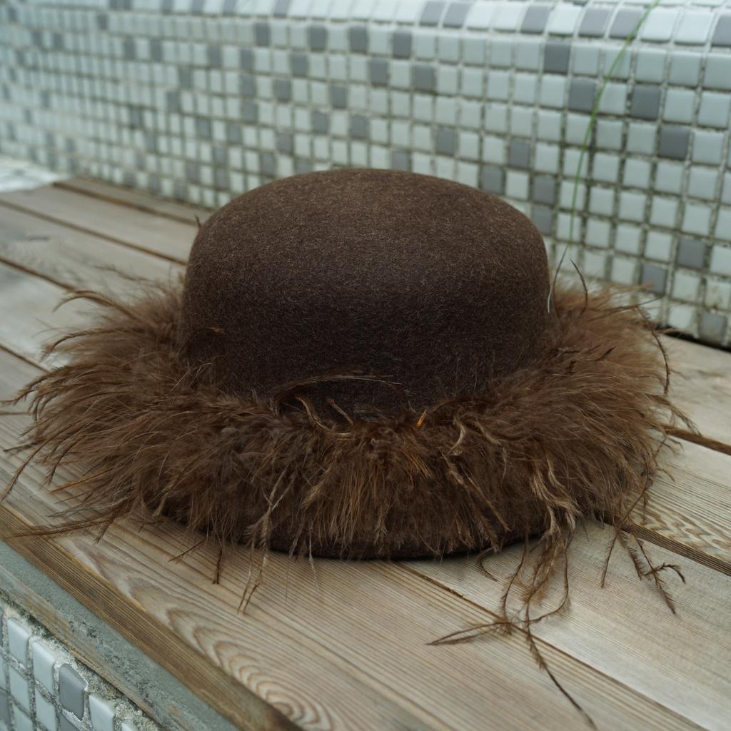 French Retro Hepburn Brown Coffee Woolen Top Hat Felt Hat Japanese Autumn And Winter Women'S Feather Warm Small Basin Hat