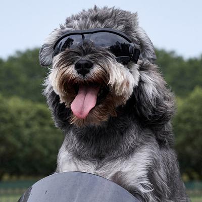 Hunde Sonnenbrille UV-Schutz Winddicht Hundeschutzbrille mit verstellbarem Riemen Outdoor für kleine, mittlere und große Hunderassen Anti-UV-Brille