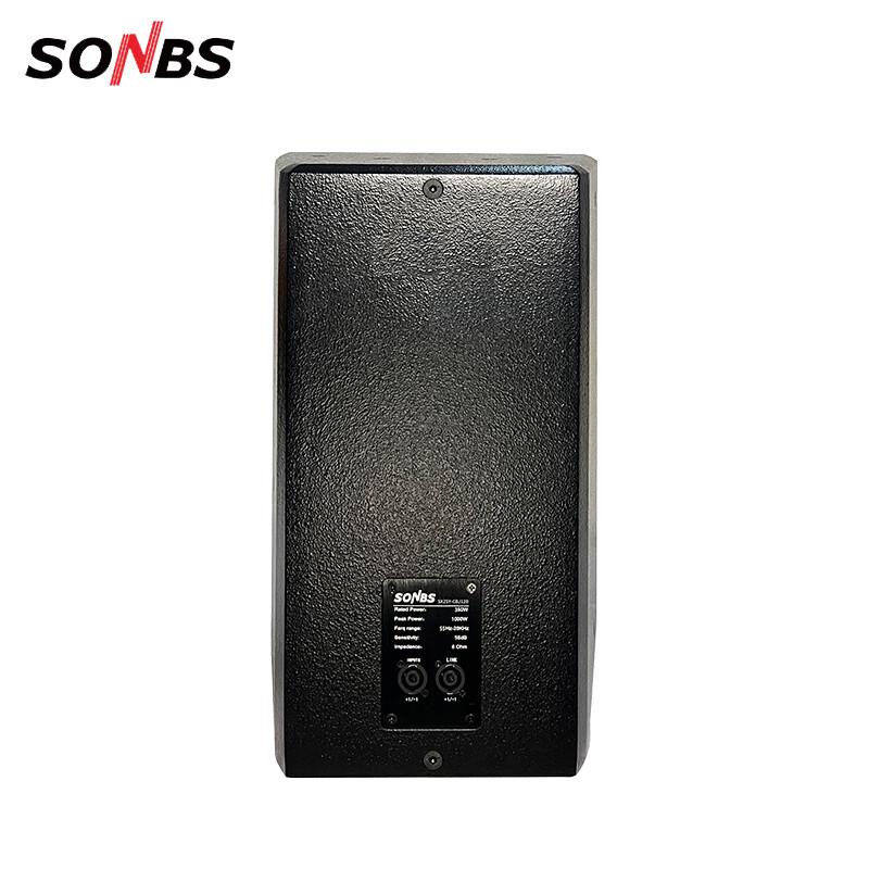 Dr. Sheng Two-way 12-inch Full-range Speaker CN Plug (adapter Included)