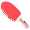 DHS 1-Star Table Tennis Racket H1006