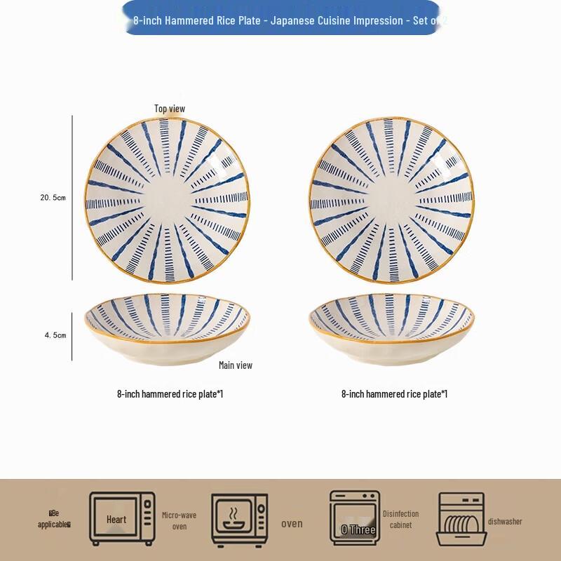 ZISIZ Japanese Style Blue & White Ceramic Dinner Plates (2-Pack)