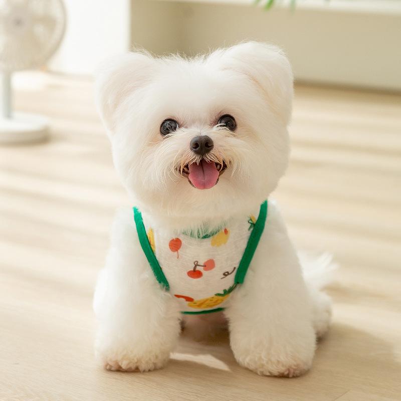 

Cute wind cartoon full of printed pet two-legged clothes medium and small Bichon teddy dog summer tractable mesh vest XXL (recommended weight 15-10kg)