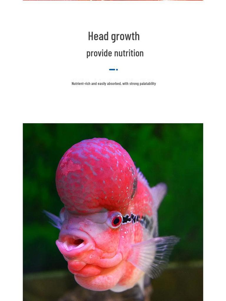 Universal Floating Pellets for Flowerhorn, Parrot, and Tropical Fish In Aquariums