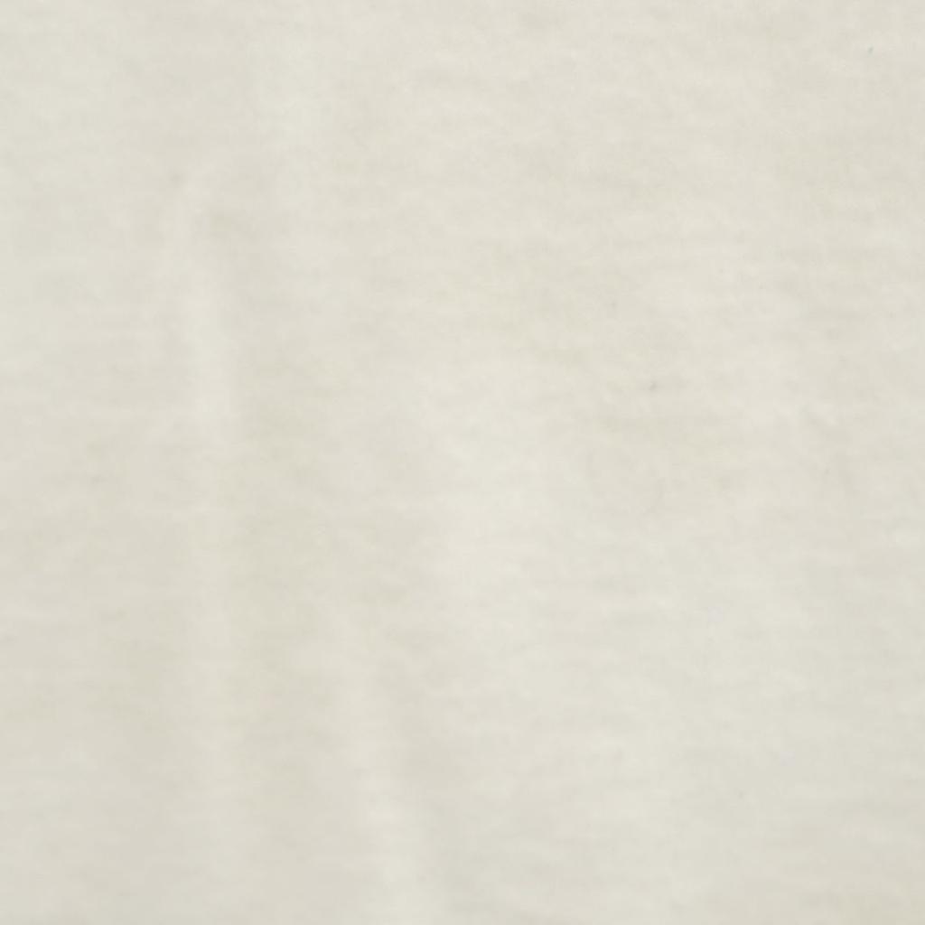ONEITA 90s Made in USA Old Back print Short sleeve T-shirt Men's Used