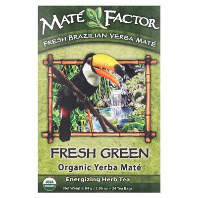 Mate Factor Yerba Mate Fresh Green Tea, 24 Tea Bags, 2.96 Oz (84g)
