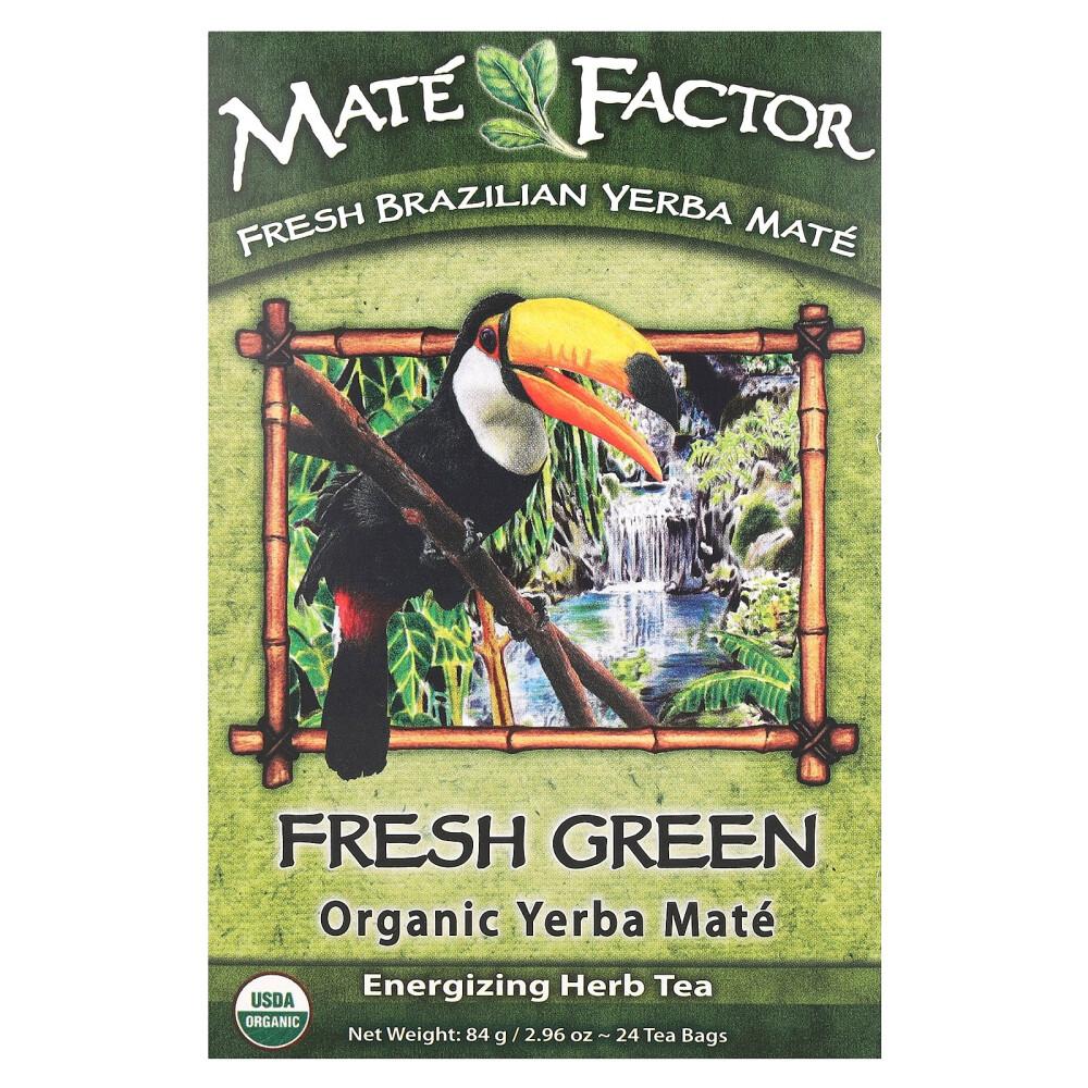 

Mate Factor Yerba Mate Fresh Green Tea, 24 Tea Bags, 2.96 oz (84g)